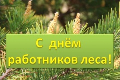 Поздравление главы Котласского муниципального района с Днём работников леса