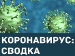 Информация по коронавирусной обстановке на территории МО «Котласский муниципальный район» 