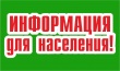 10 ноября в Шипицыно работает выездной налоговый офис 