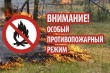 В лесах Архангельской области вновь введен особый противопожарный режим